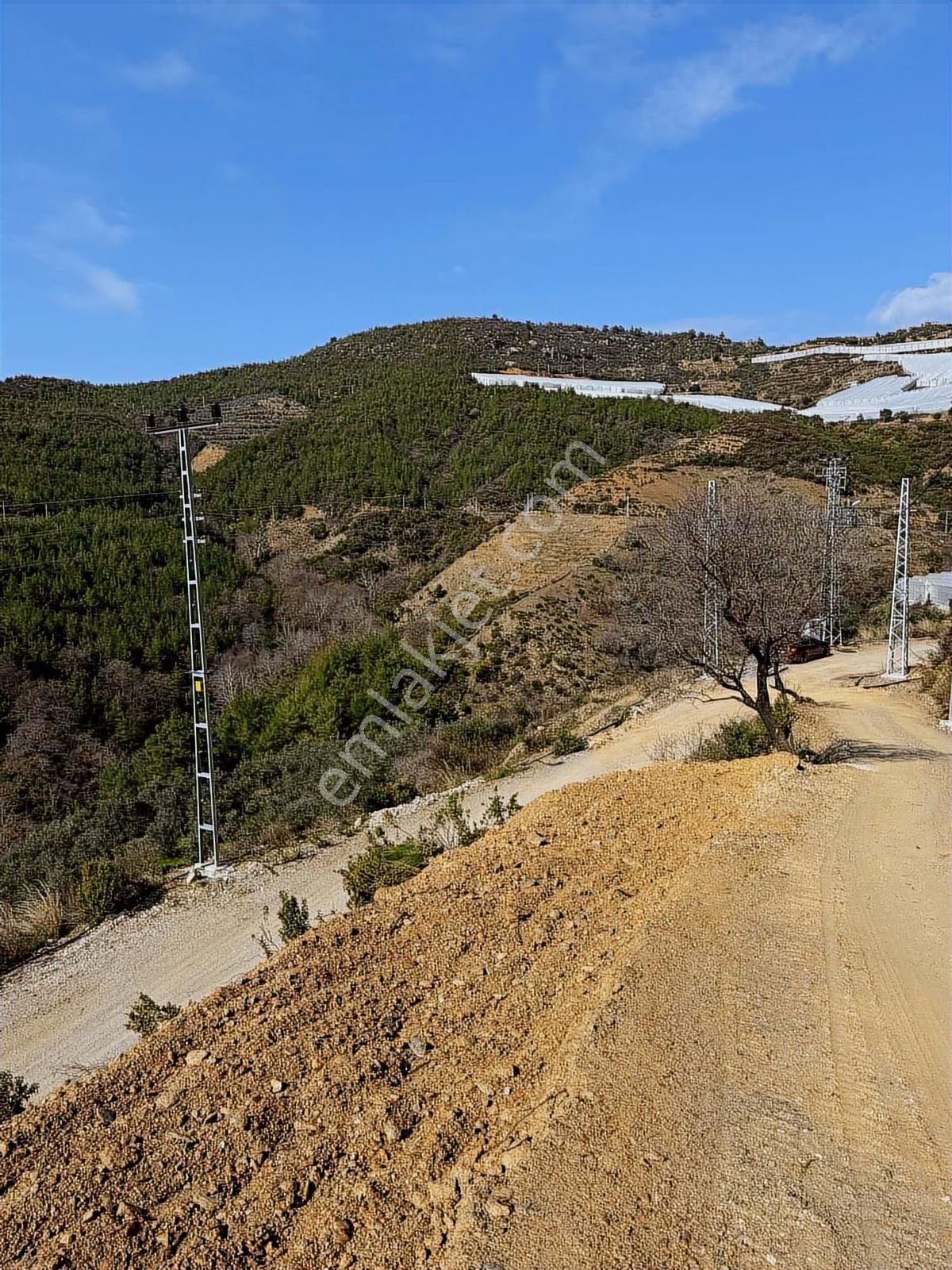Alanya Güney'de Bahçe Yapımına Hazır Satılık Tarla - Görsel 7