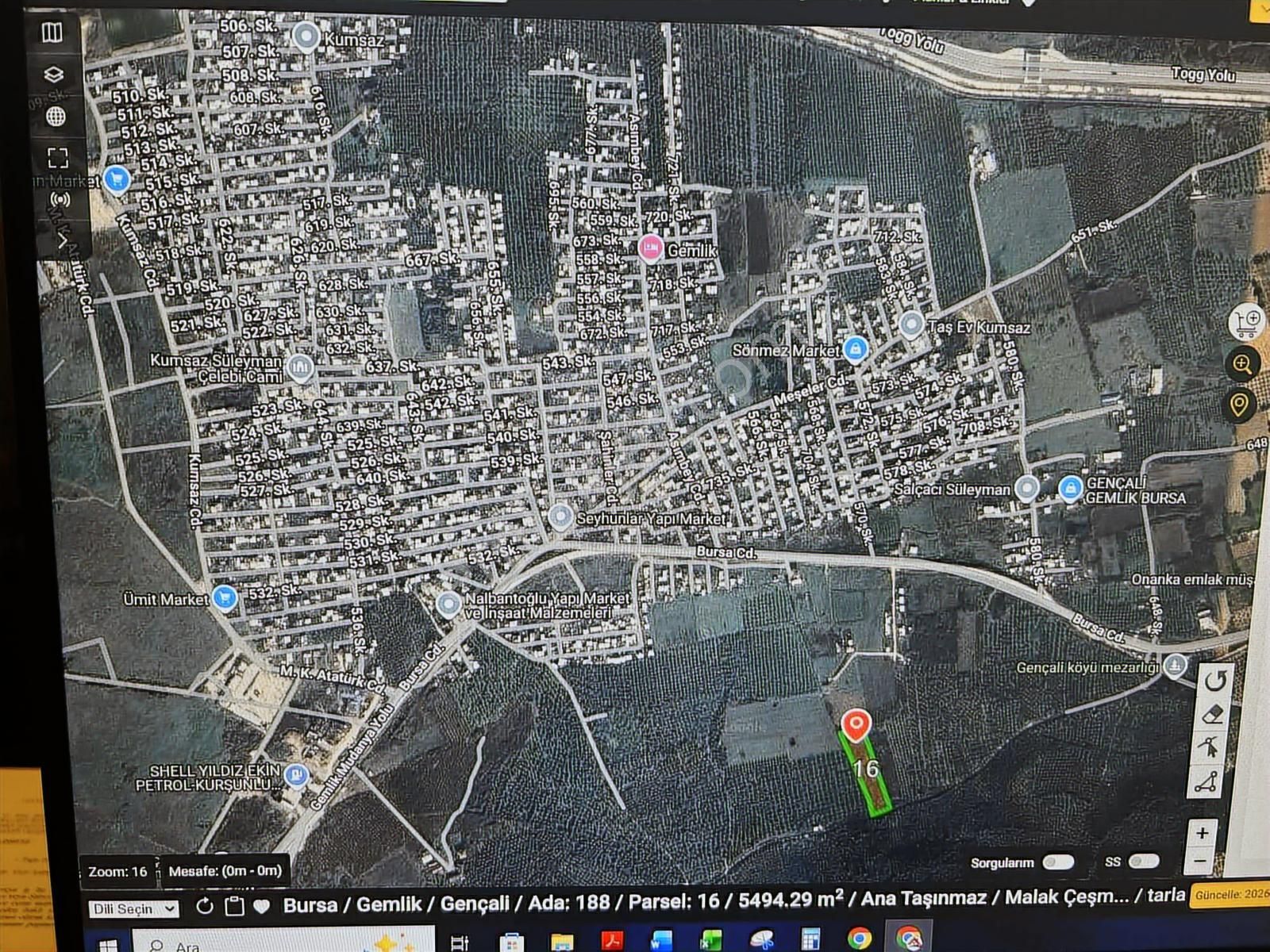 Bursa Gemlik Gençali Kumsaz Togg Yakını Satılık Kullanışlı Tarla