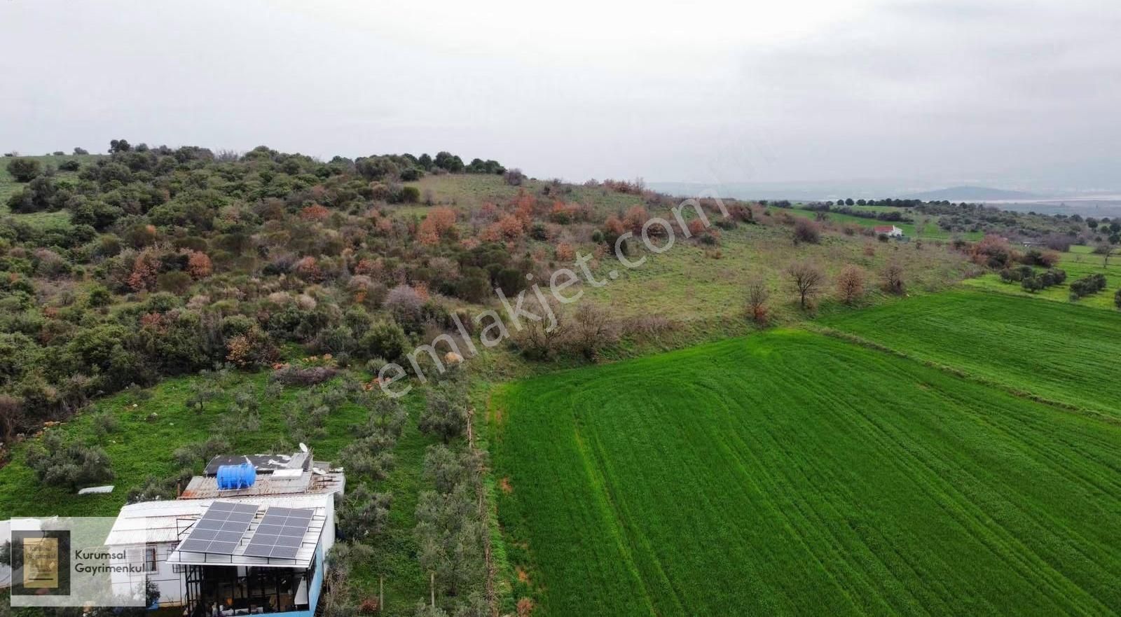 Karacabey İkizce Mahallesi Satılık Fırsat Müstakil Parsel Tarla