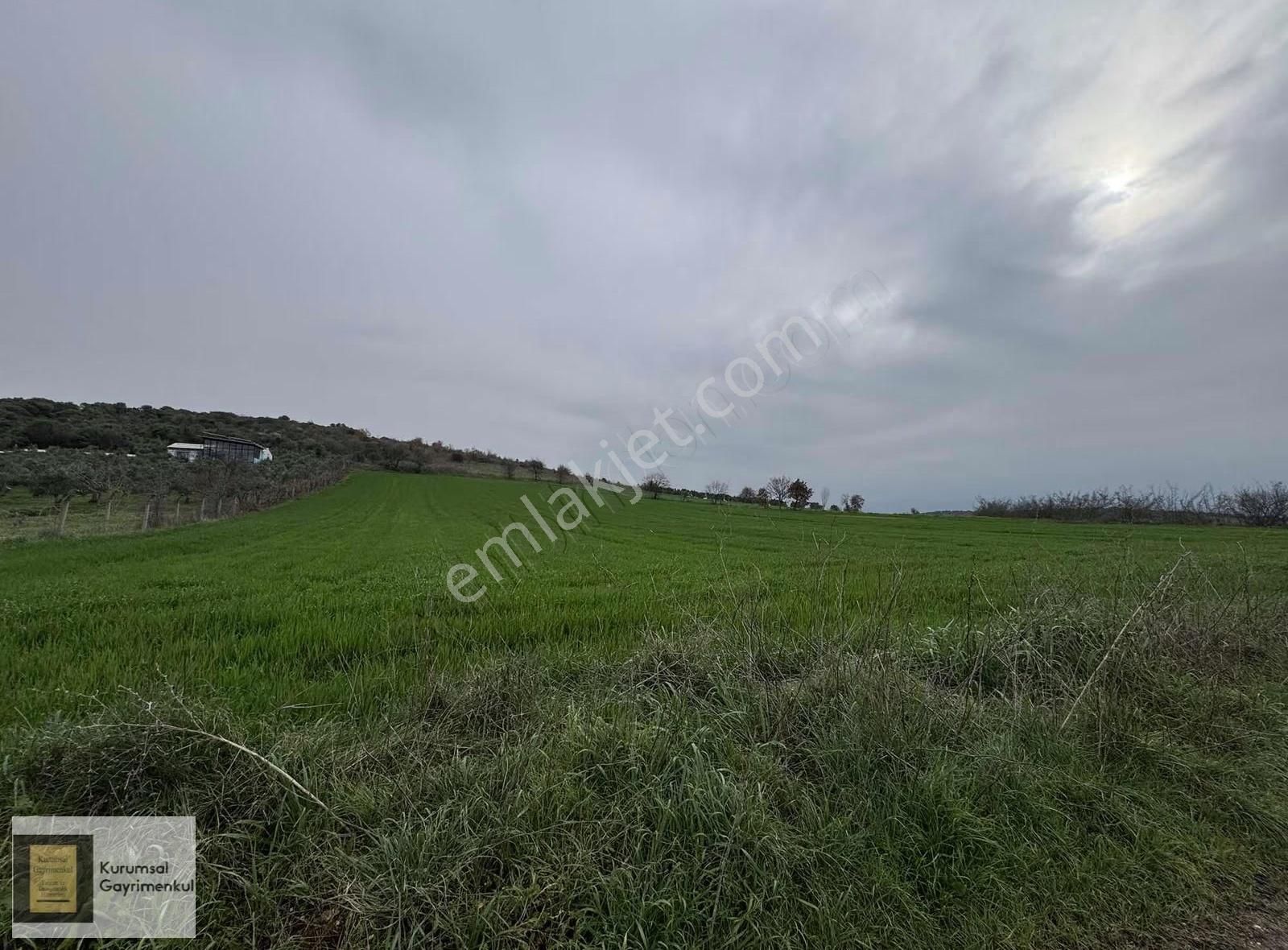 Karacabey İkizce Mahallesi Satılık Fırsat Müstakil Parsel Tarla - Görsel 11