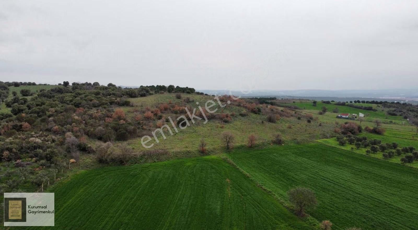 Karacabey İkizce Mahallesi Satılık Fırsat Müstakil Parsel Tarla - Görsel 14