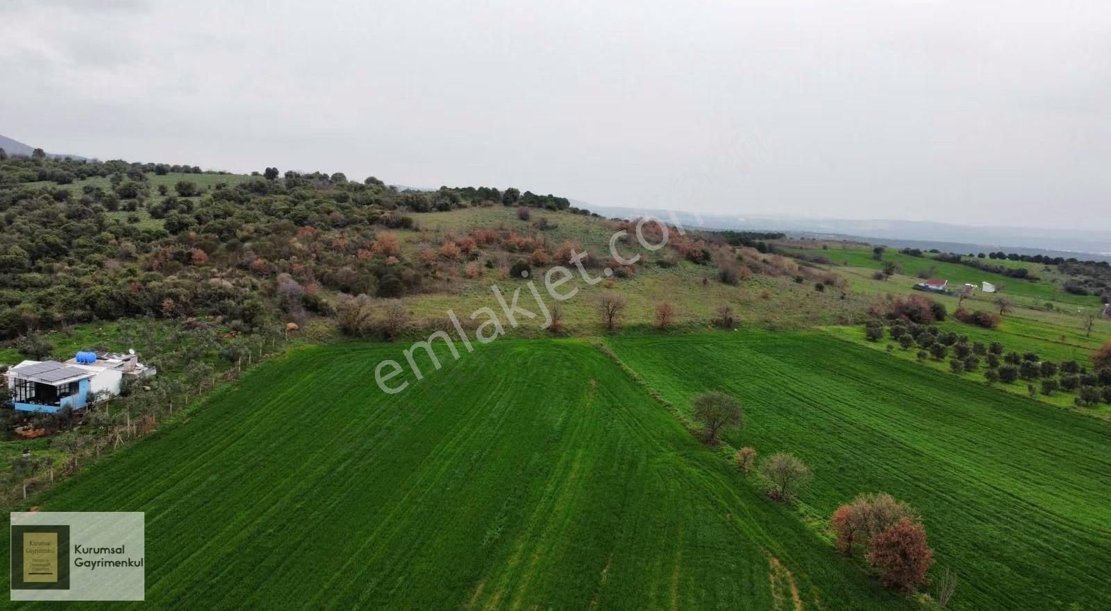 Karacabey İkizce Mahallesi Satılık Fırsat Müstakil Parsel Tarla - Görsel 20
