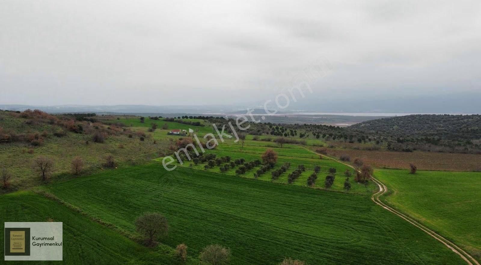 Karacabey İkizce Mahallesi Satılık Fırsat Müstakil Parsel Tarla - Görsel 5