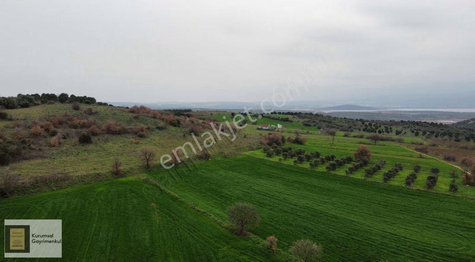 Karacabey İkizce Mahallesi Satılık Fırsat Müstakil Parsel Tarla - Görsel 19