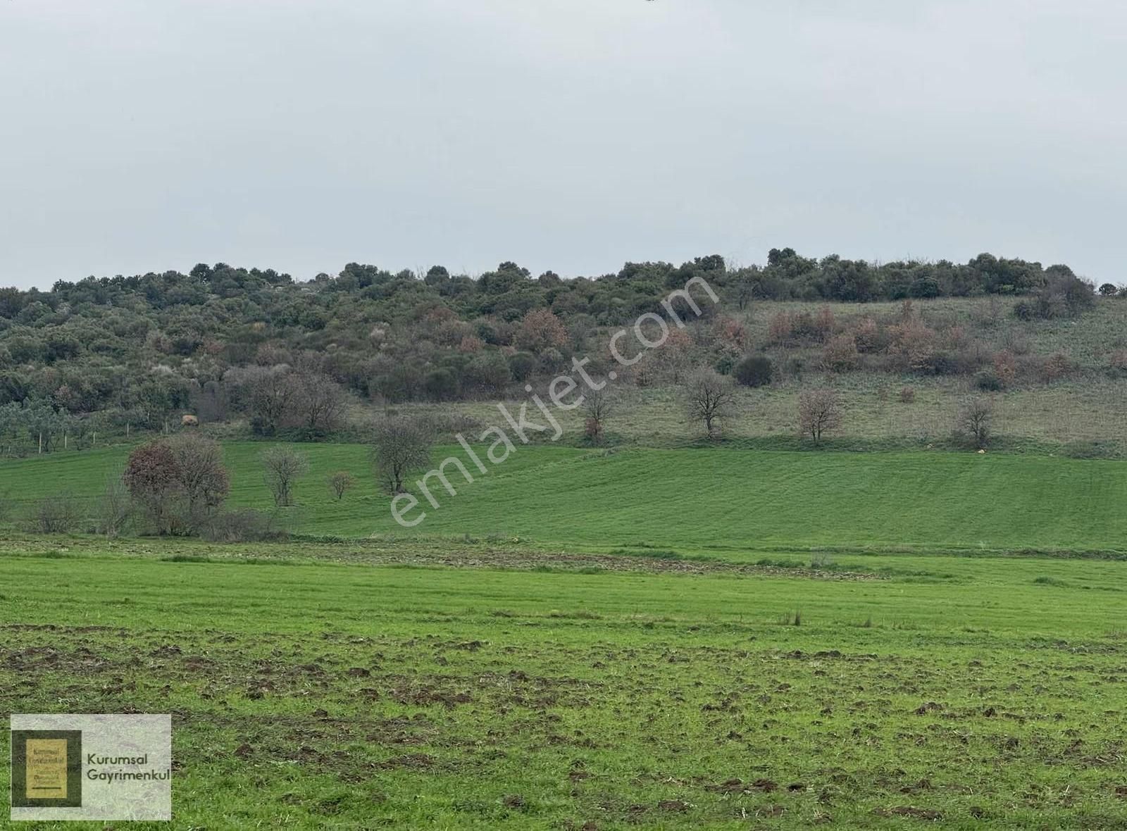 Karacabey İkizce Mahallesi Satılık Fırsat Müstakil Parsel Tarla - Görsel 22
