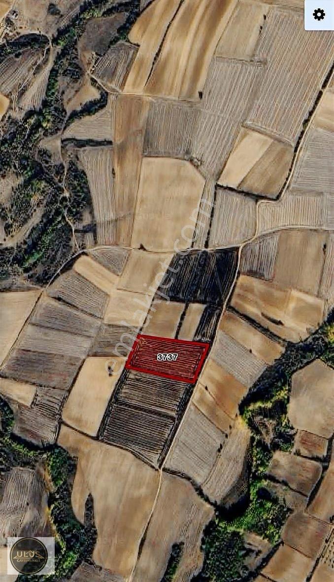 Kırklareli Kavaklıda 13.000 M2 Satılık Arazi