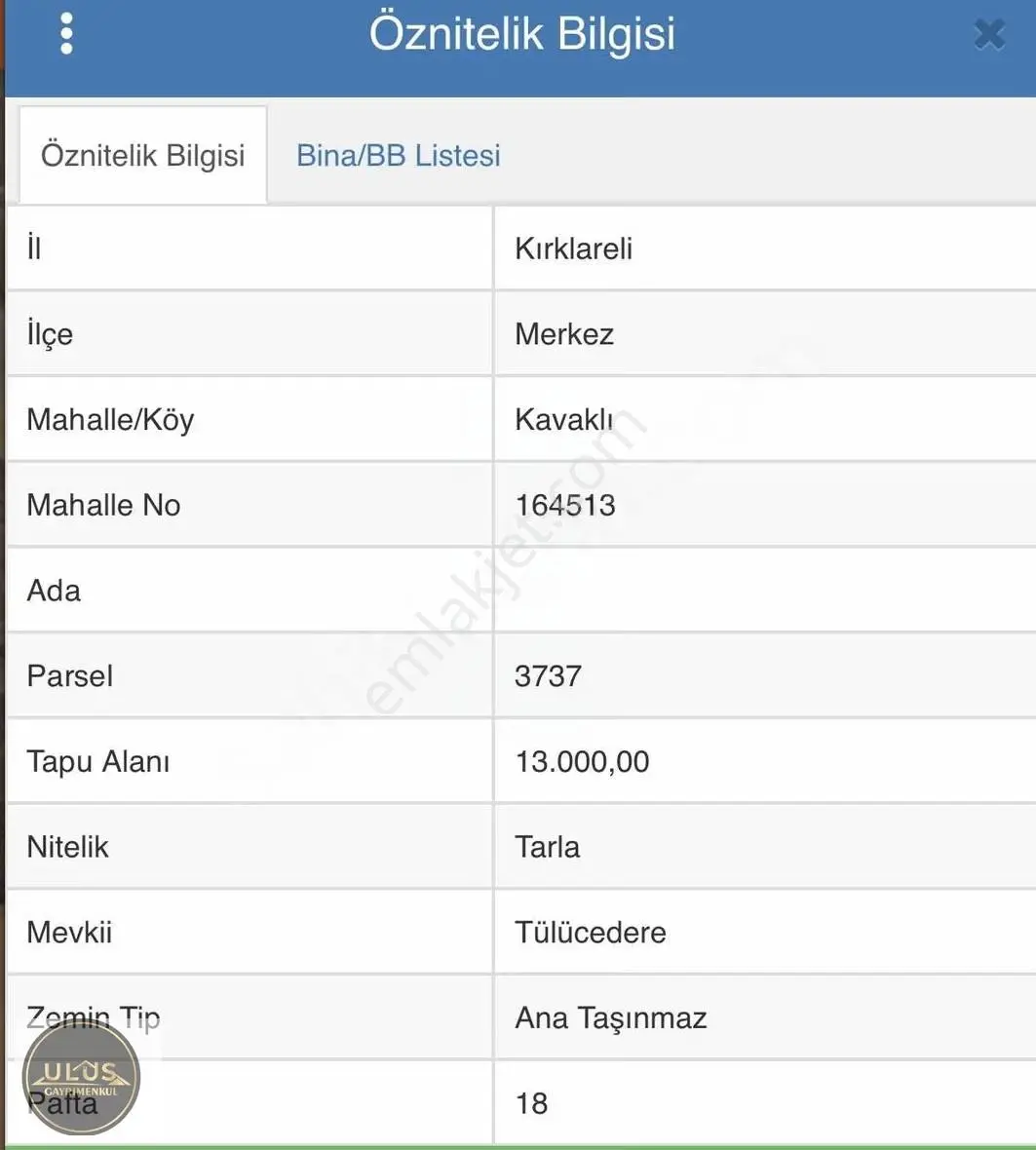 Kırklareli Kavaklıda 13.000 M2 Satılık Arazi - Görsel 2