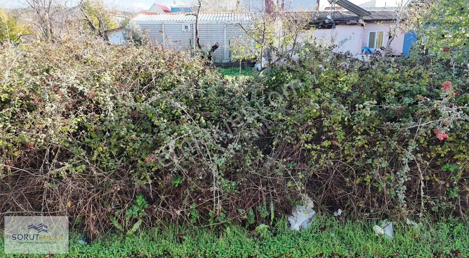 Mecidiye Sahilde Denize 100 M Mesafede 116 M² Müstakil Arazi - Görsel 4