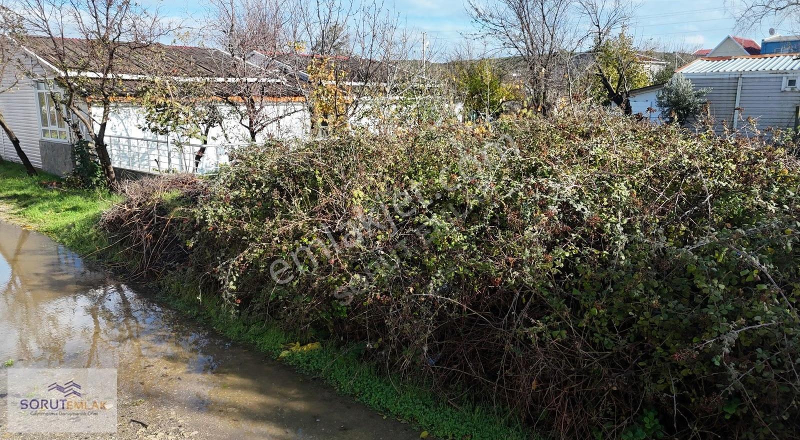 Mecidiye Sahilde Denize 100 M Mesafede 116 M² Müstakil Arazi - Görsel 16