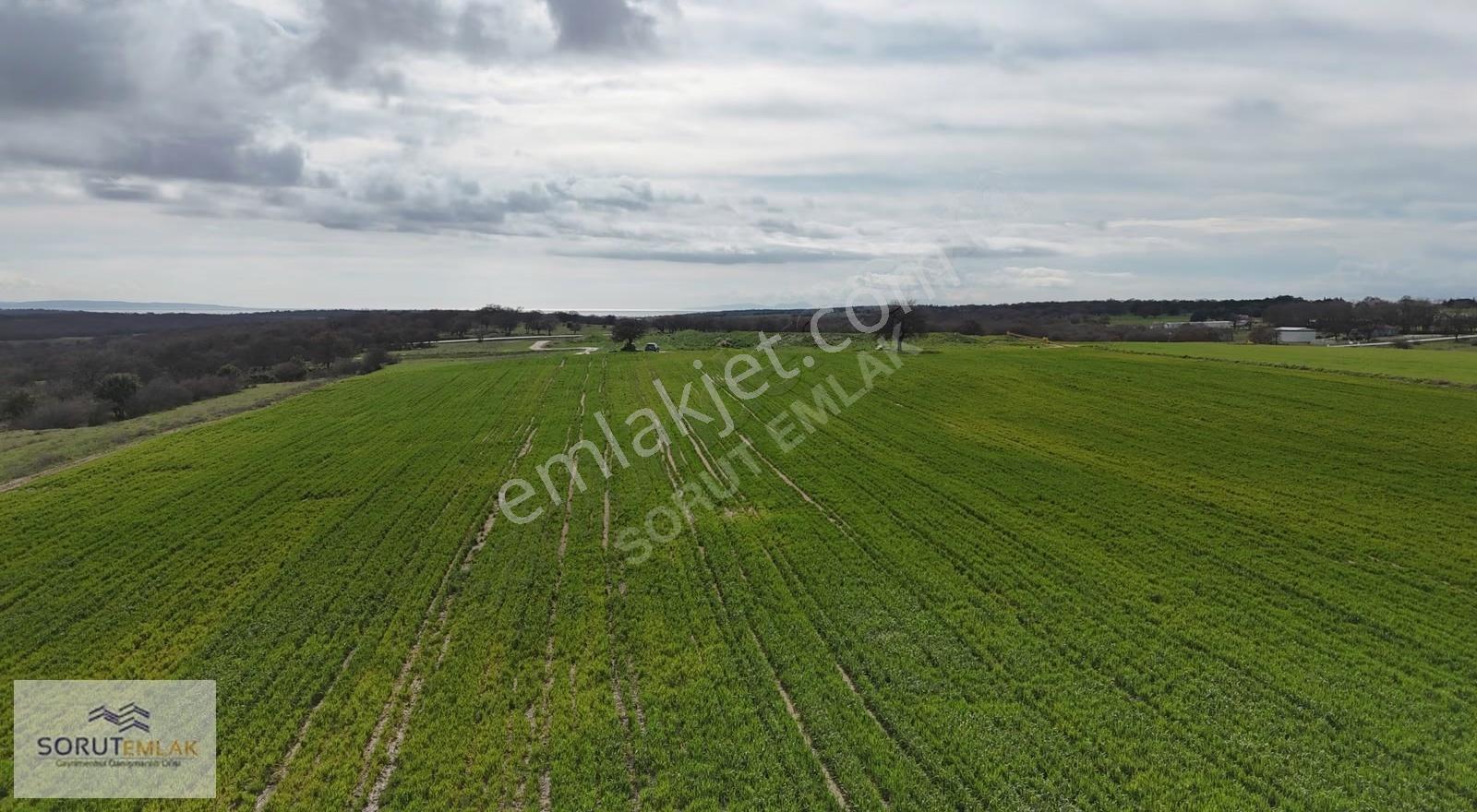 Enez Büyükevren'de Satılık 15.800 M² Müstakil Tapulu Tarla - Görsel 17