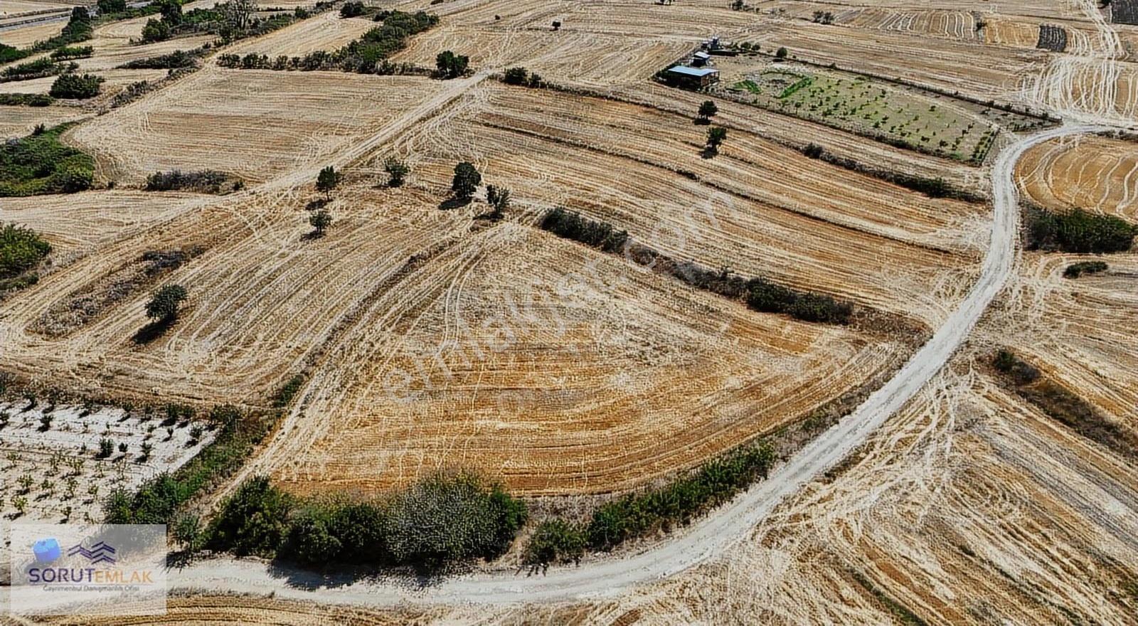Mecidiye Sahil Yolunda Satılık 5.100 M² Tarım Arazisi - Görsel 10