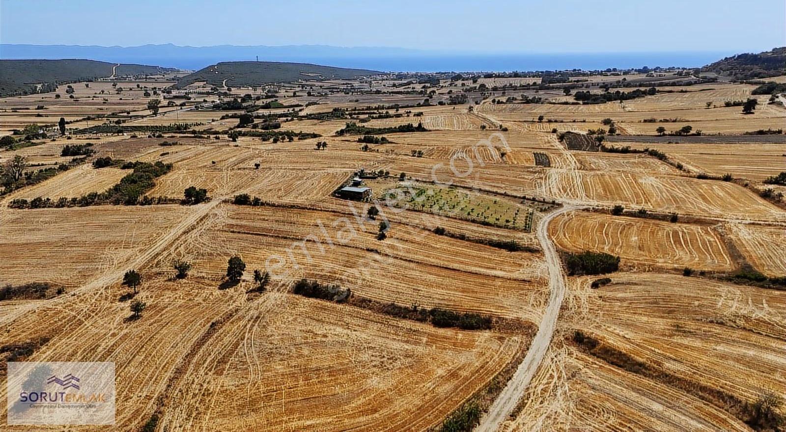 Mecidiye Sahil Yolunda Satılık 5.100 M² Tarım Arazisi - Görsel 8
