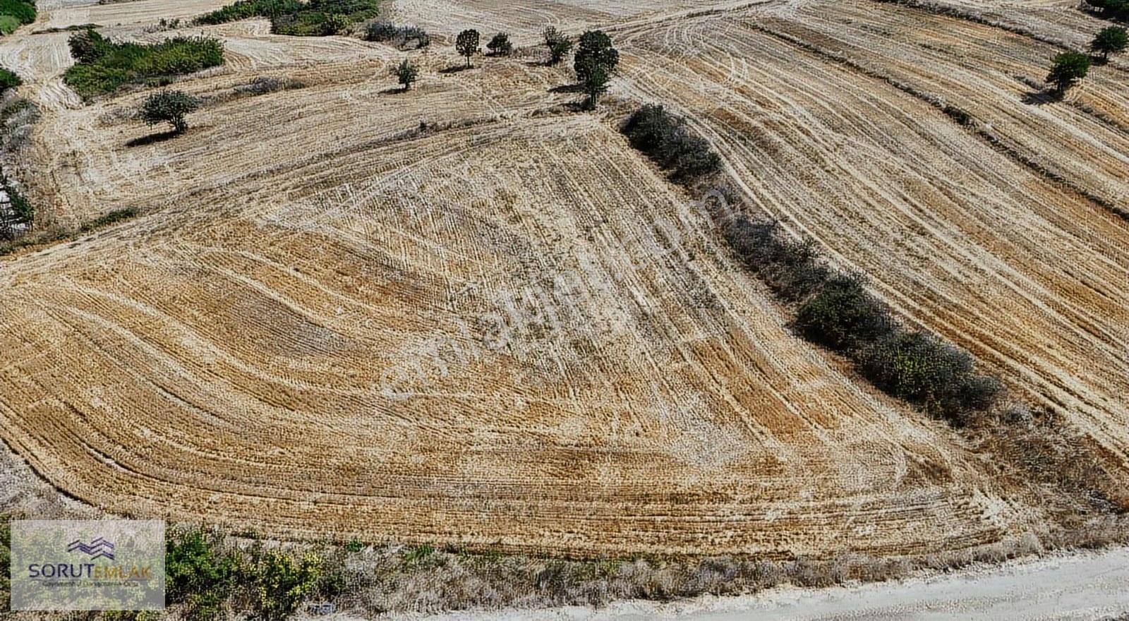 Mecidiye Sahil Yolunda Satılık 5.100 M² Tarım Arazisi - Görsel 2