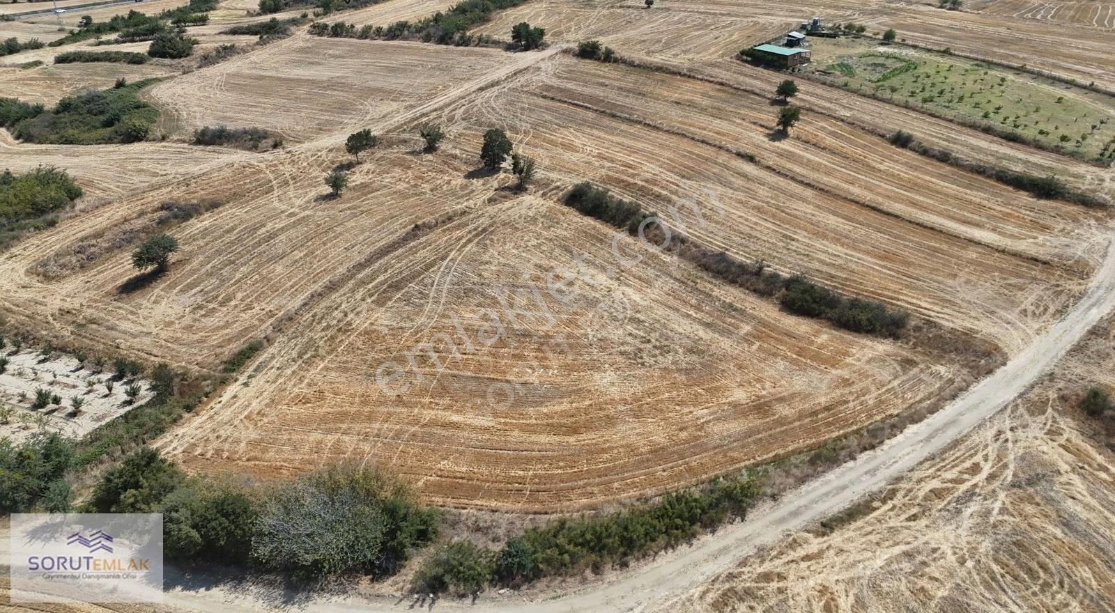 Mecidiye Sahil Yolunda Satılık 5.100 M² Tarım Arazisi - Görsel 5