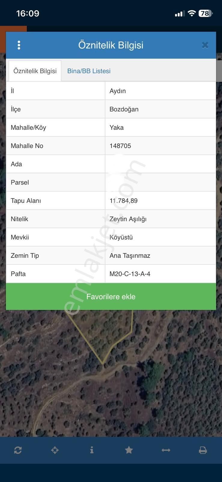 Bozdoğan Yaka Köyünde 300 Ağaçlı Zeytinlik