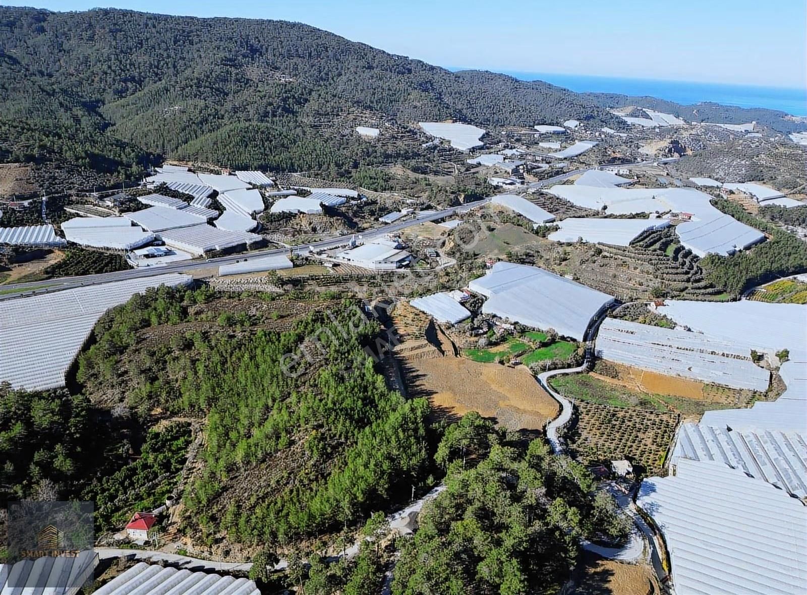 Alanya İmamlı Çevre Yoluna 300m Satılık 12.800 M2 Müstakil Tarla - Görsel 2