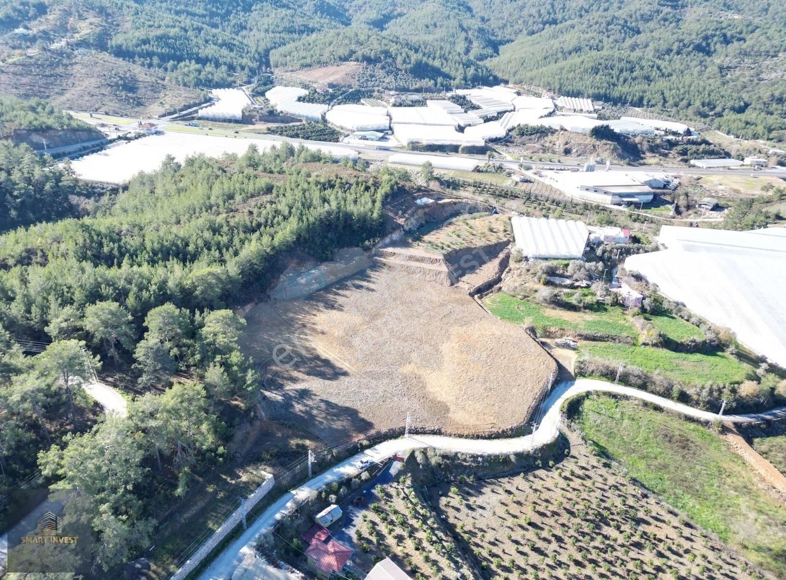 Alanya İmamlı Çevre Yoluna 300m Satılık 12.800 M2 Müstakil Tarla - Görsel 8