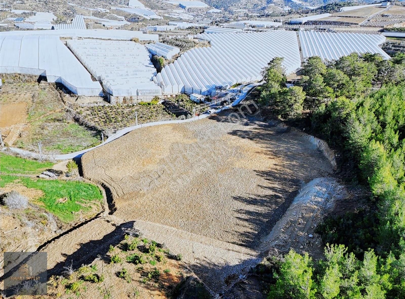 Alanya İmamlı Çevre Yoluna 300m Satılık 12.800 M2 Müstakil Tarla - Görsel 7