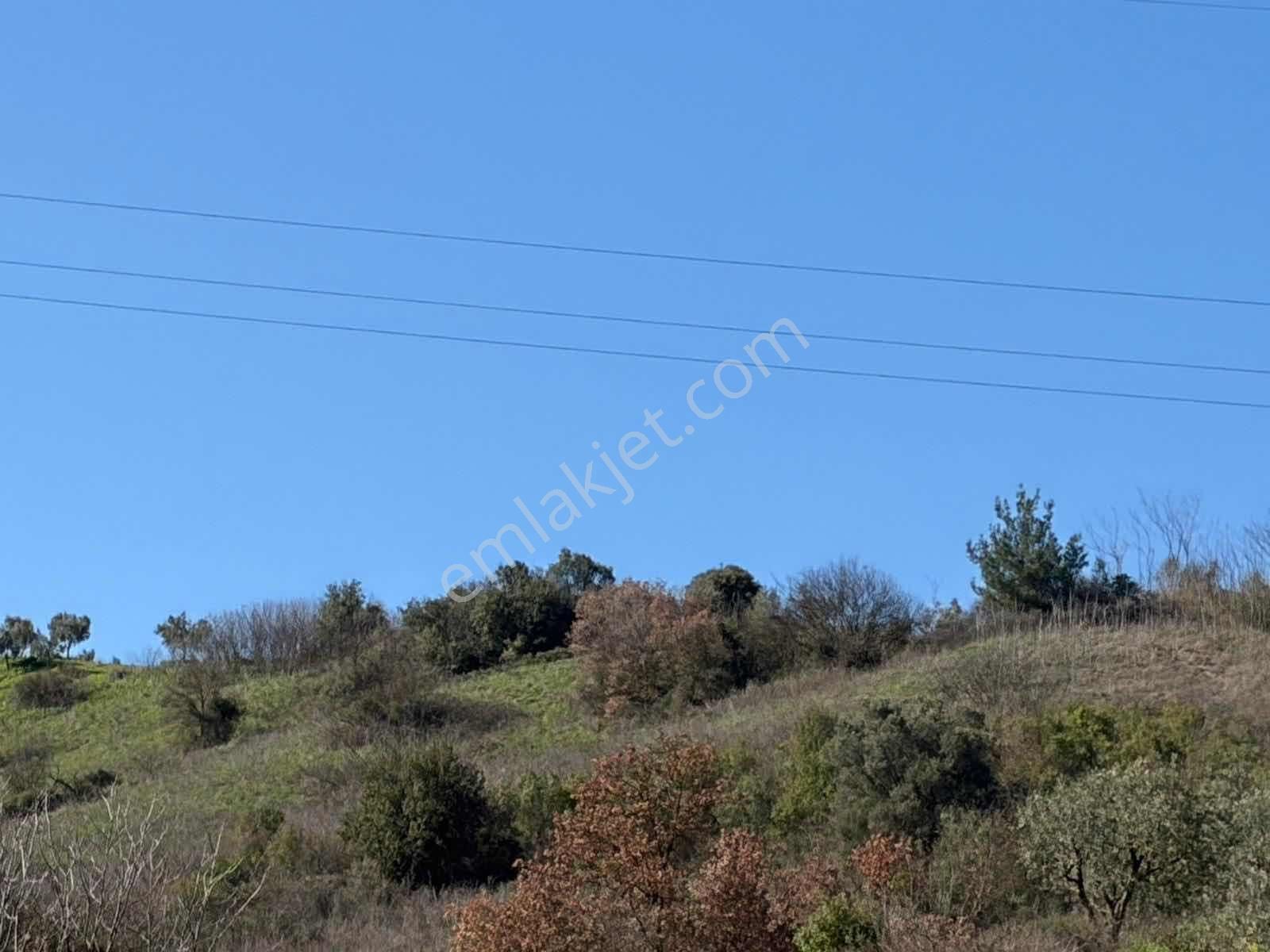 Gemlik Kurtul Yatırımlık 9690 M2 Fırsat Arazi Satılık - Görsel 7