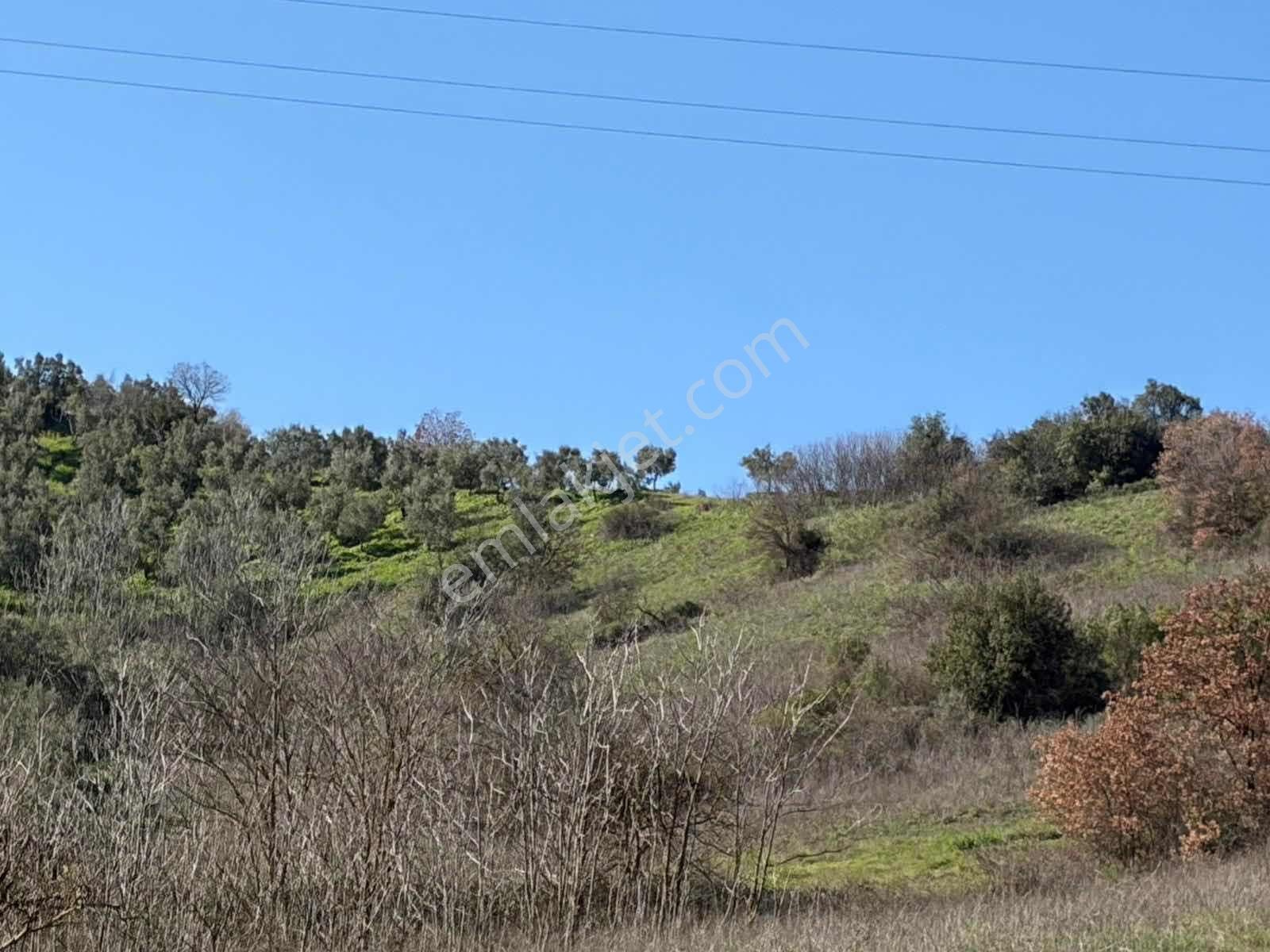 Gemlik Kurtul Yatırımlık 9690 M2 Fırsat Arazi Satılık - Görsel 8