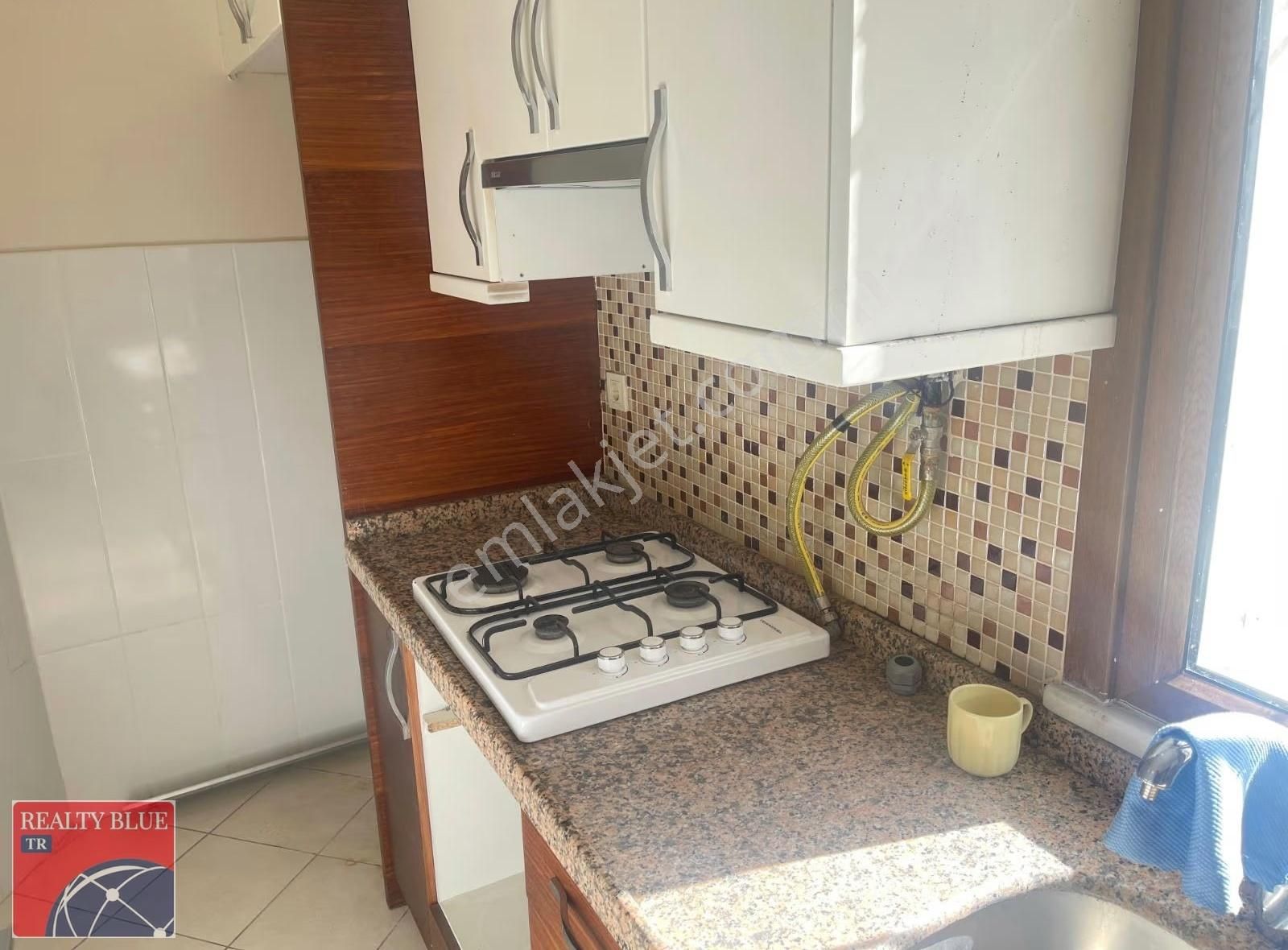 Ferah Ve Temiz Bahçe Kullanımlı - Görsel 22