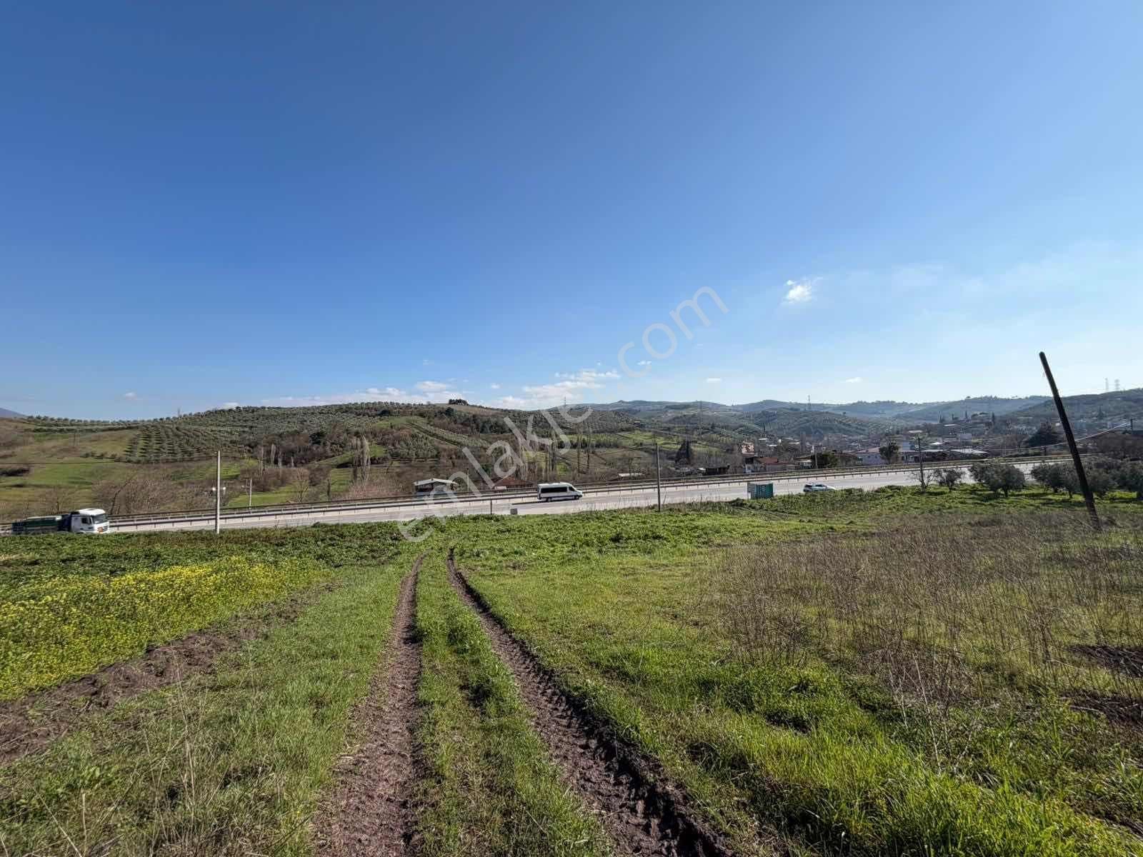 Gemlik Kurtul Da Lojistik Bölgeye Komşu 4142 M2 Satılık Tarla - Görsel 17