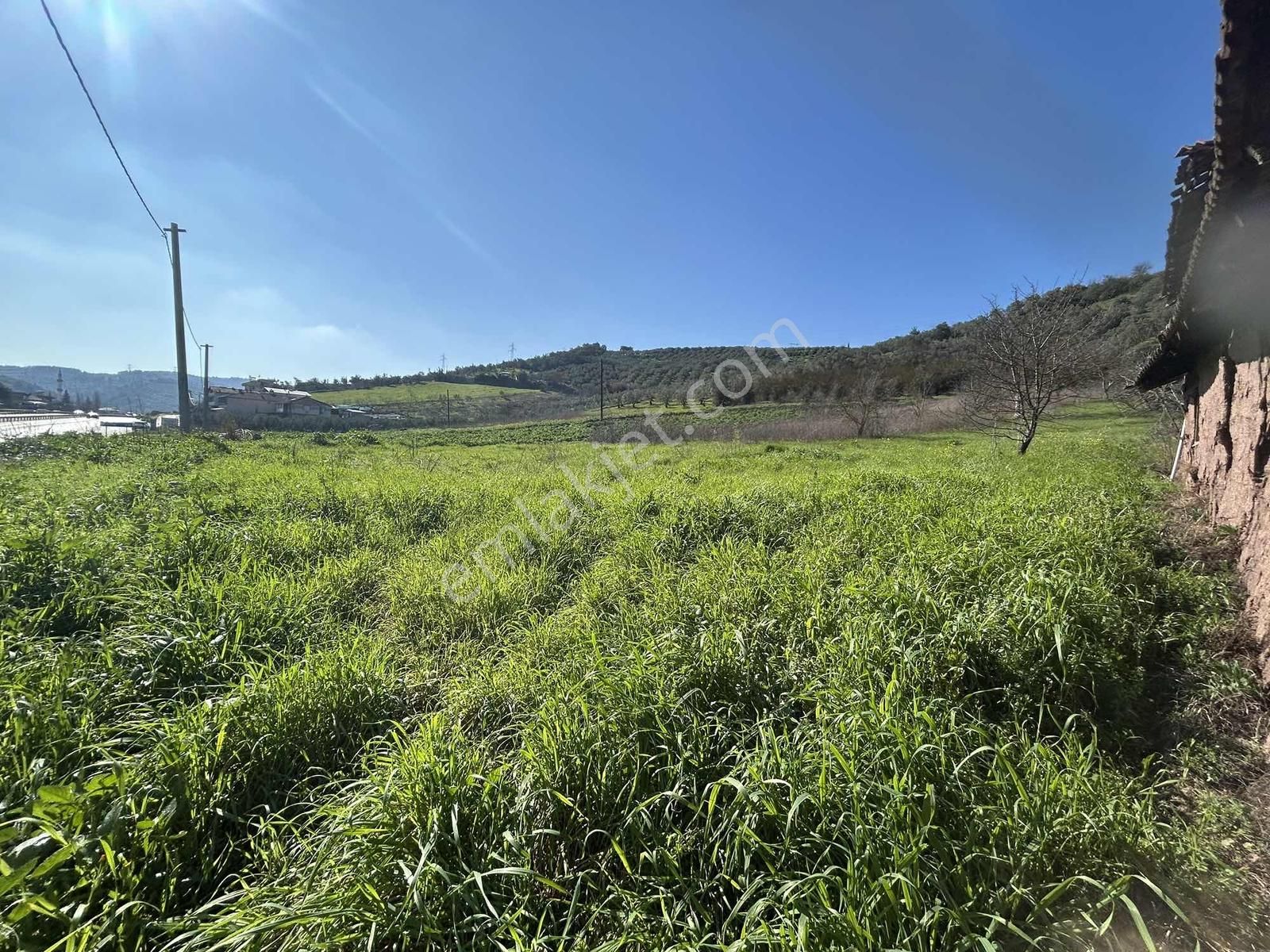 Gemlik Kurtul Da Lojistik Bölgeye Komşu 4142 M2 Satılık Tarla - Görsel 6