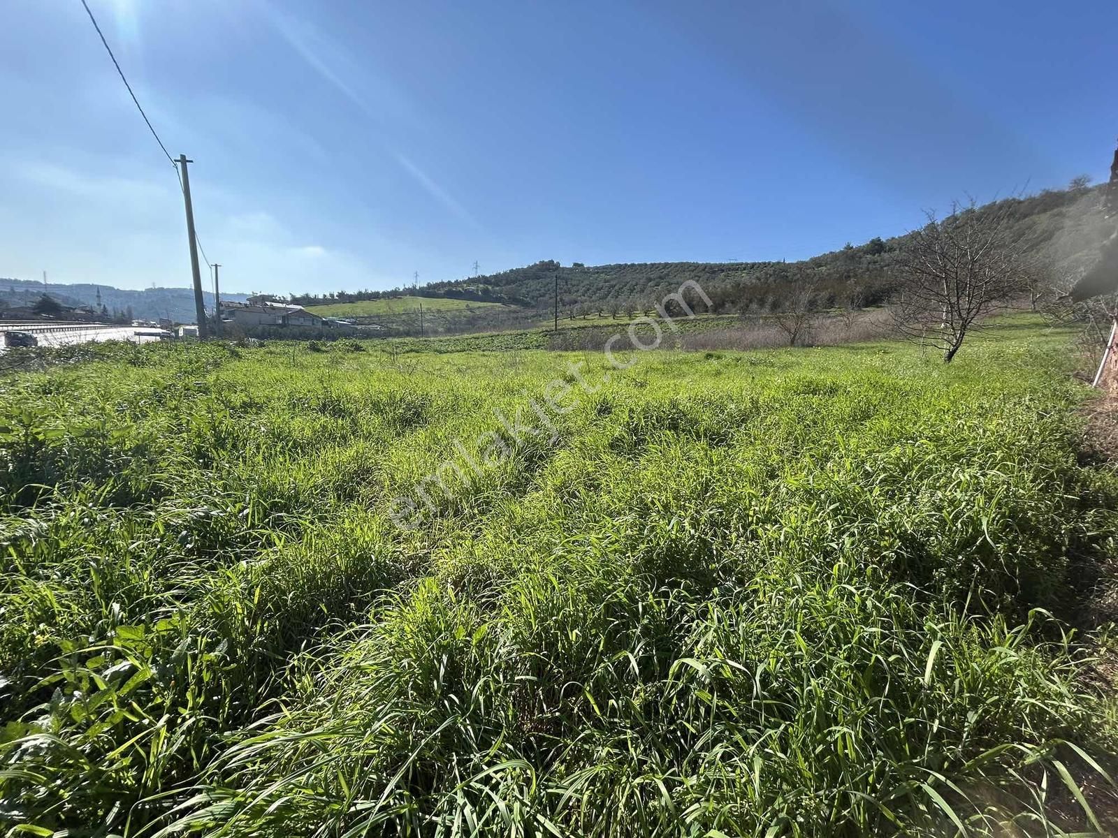 Gemlik Kurtul Da Lojistik Bölgeye Komşu 4142 M2 Satılık Tarla - Görsel 9