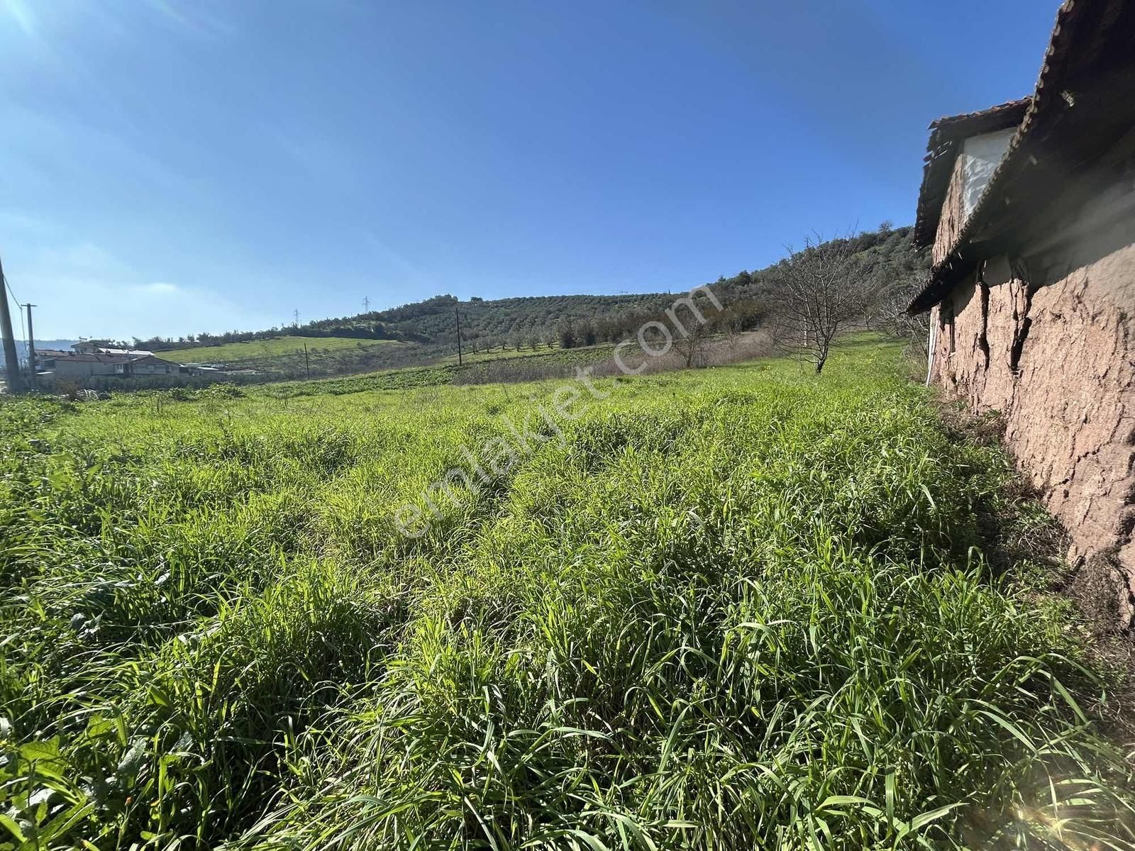 Gemlik Kurtul Da Lojistik Bölgeye Komşu 4142 M2 Satılık Tarla - Görsel 4