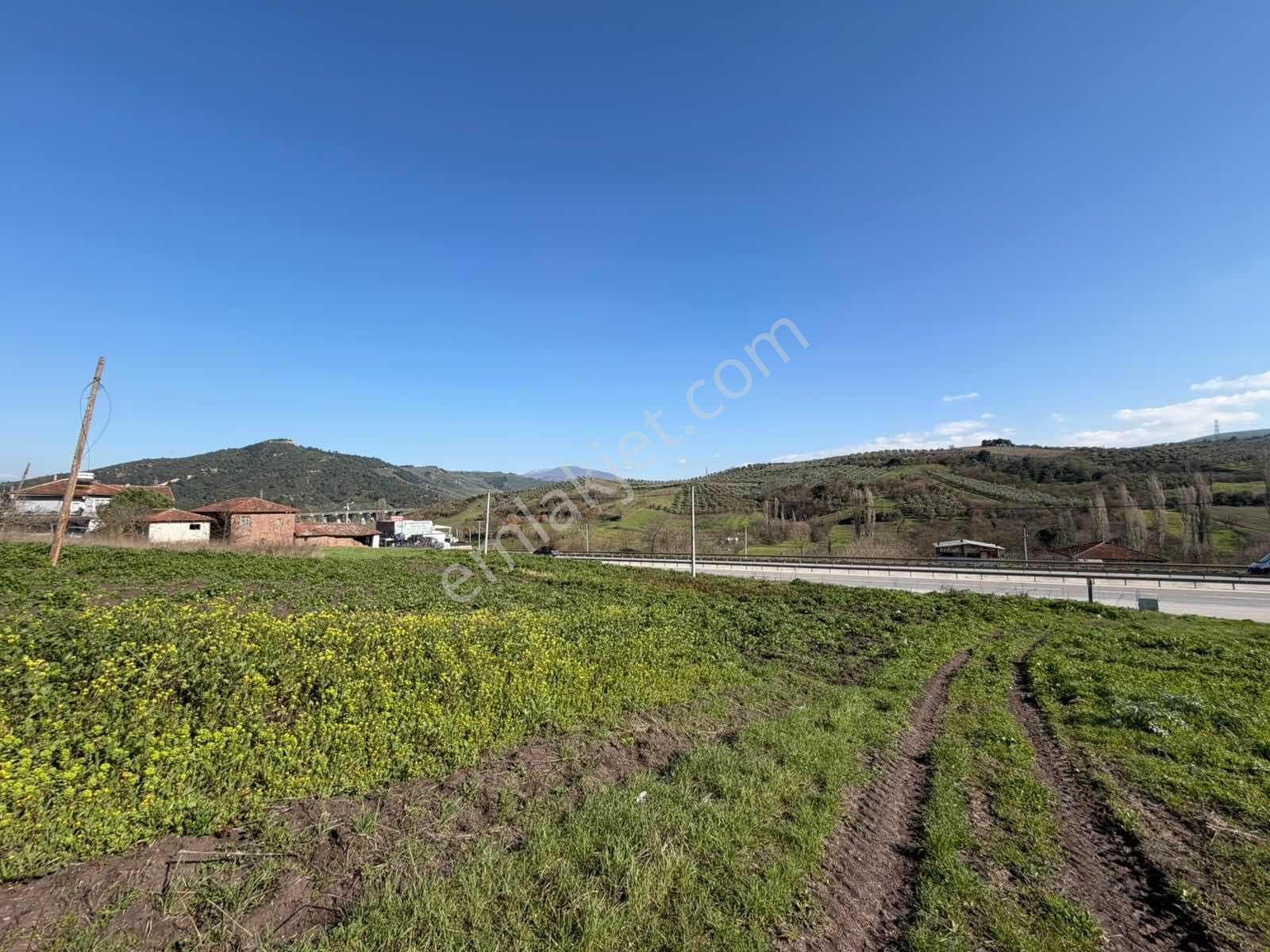 Gemlik Kurtul Da Lojistik Bölgeye Komşu 4142 M2 Satılık Tarla - Görsel 7