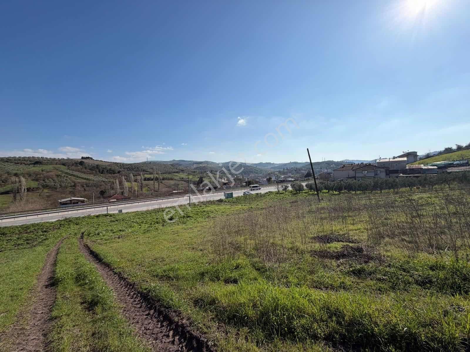 Gemlik Kurtul Da Lojistik Bölgeye Komşu 4142 M2 Satılık Tarla - Görsel 19