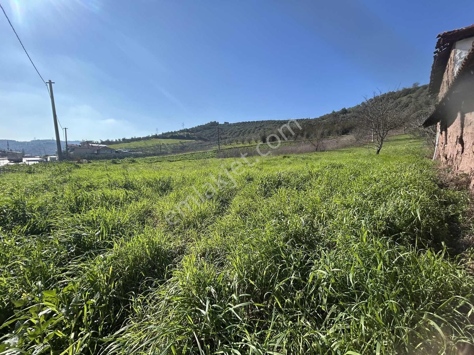 Gemlik Kurtul Da Lojistik Bölgeye Komşu 4142 M2 Satılık Tarla - Görsel 21