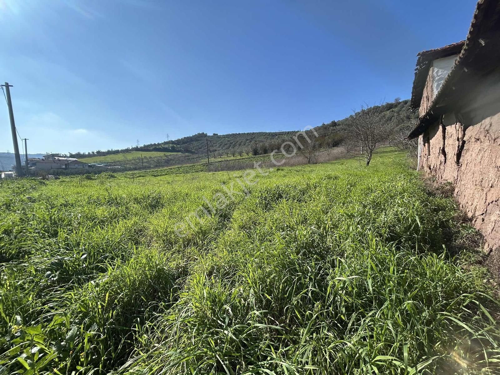 Gemlik Kurtul Da Lojistik Bölgeye Komşu 4142 M2 Satılık Tarla - Görsel 5