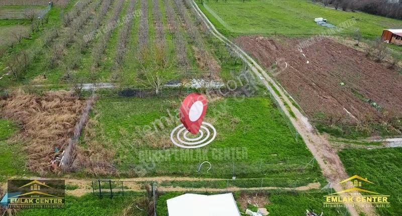 Kestel Gölcükte 2 Adet 277 M2 Hisseli Tapulu Hobi Bahçesi - Görsel 5