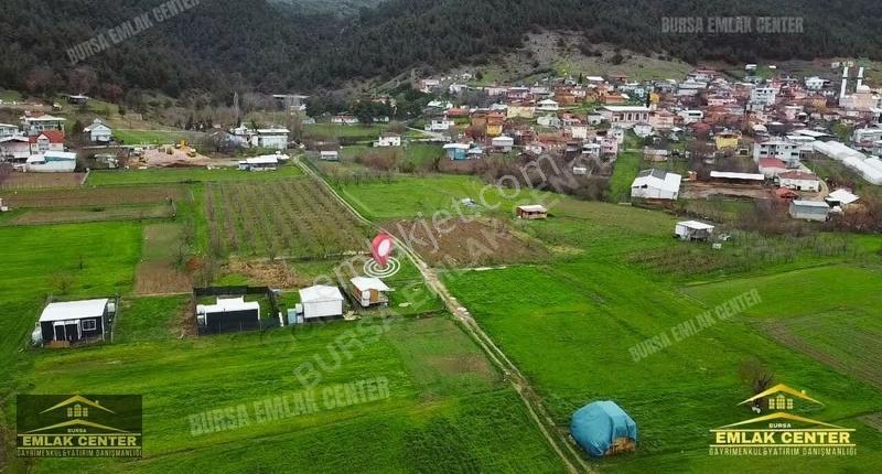 Kestel Gölcükte 2 Adet 277 M2 Hisseli Tapulu Hobi Bahçesi - Görsel 2