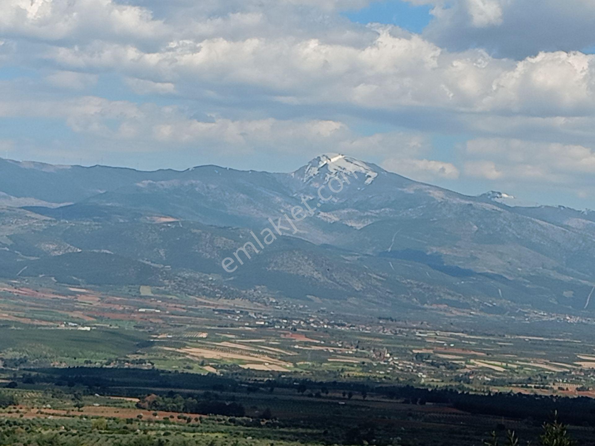 Aydın Karacasu Subaşı Yaylasında 677m2 Yayla Evi - Görsel 10