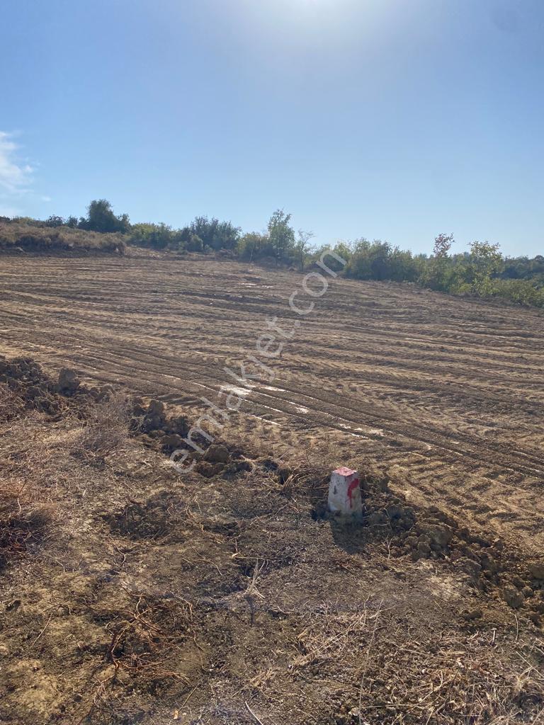 Yalova Çınacık Esenköyde Full Deniz Manzaralı Satılık 458m2 Arsa - Görsel 8