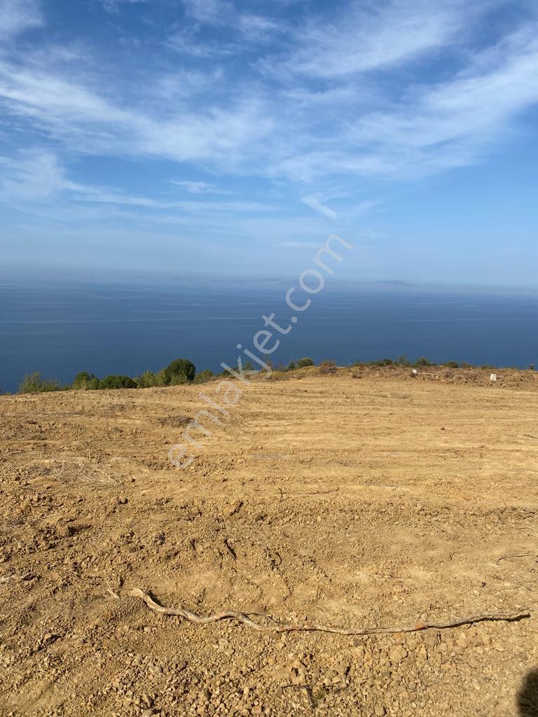 Yalova Çınacık Esenköyde Full Deniz Manzaralı Satılık 458m2 Arsa - Görsel 20