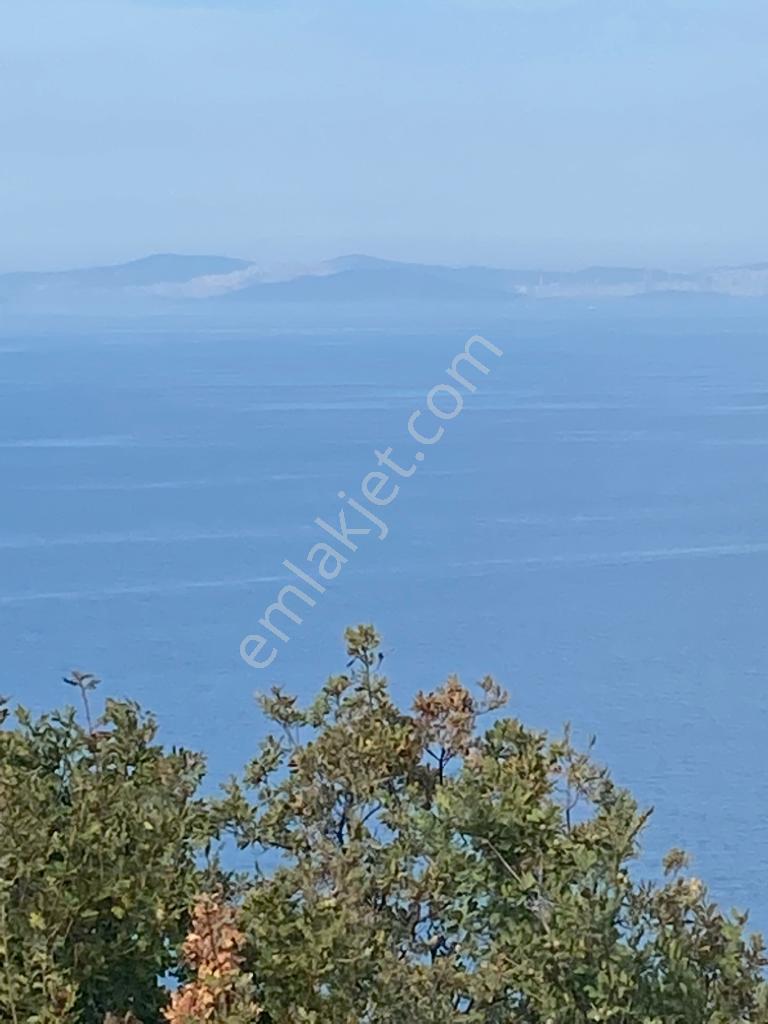 Yalova Çınacık Esenköyde Full Deniz Manzaralı Satılık 458m2 Arsa - Görsel 15