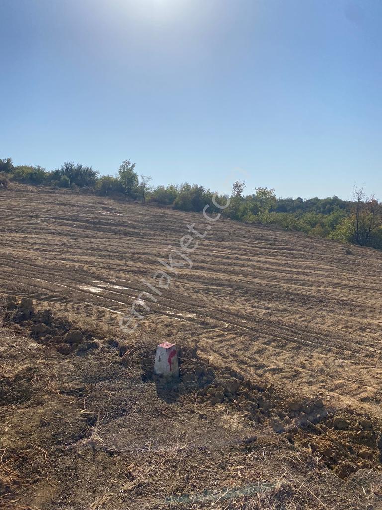 Yalova Çınacık Esenköyde Full Deniz Manzaralı Satılık 458m2 Arsa - Görsel 11