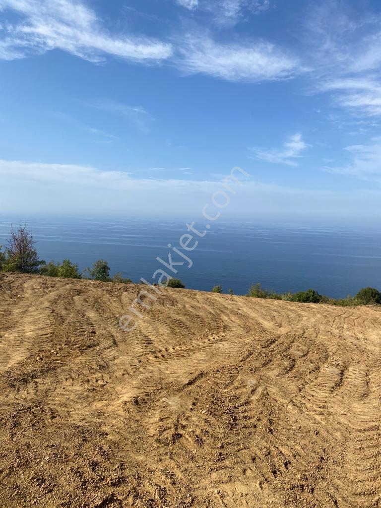 Yalova Çınacık Esenköyde Full Deniz Manzaralı Satılık 458m2 Arsa - Görsel 19