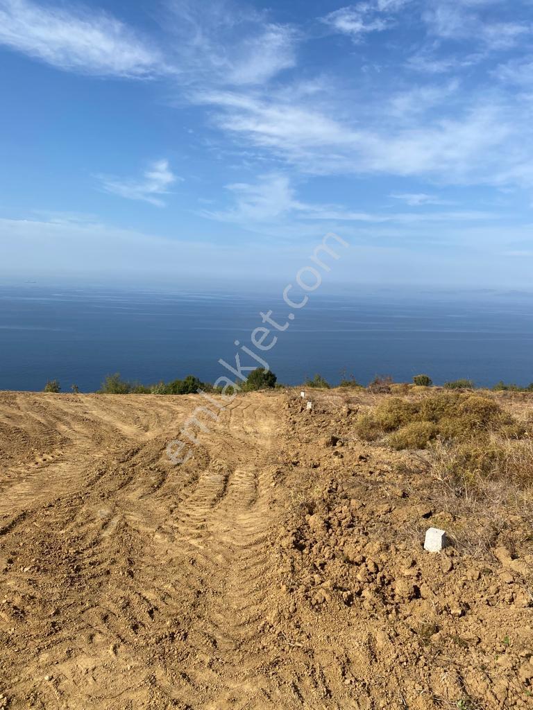 Yalova Çınacık Esenköyde Full Deniz Manzaralı Satılık 458m2 Arsa - Görsel 3