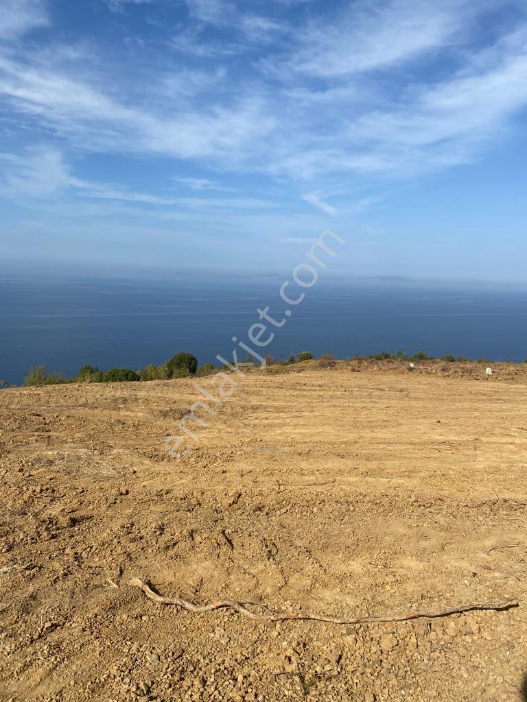 Yalova Çınacık Esenköyde Full Deniz Manzaralı Satılık 458m2 Arsa - Görsel 17