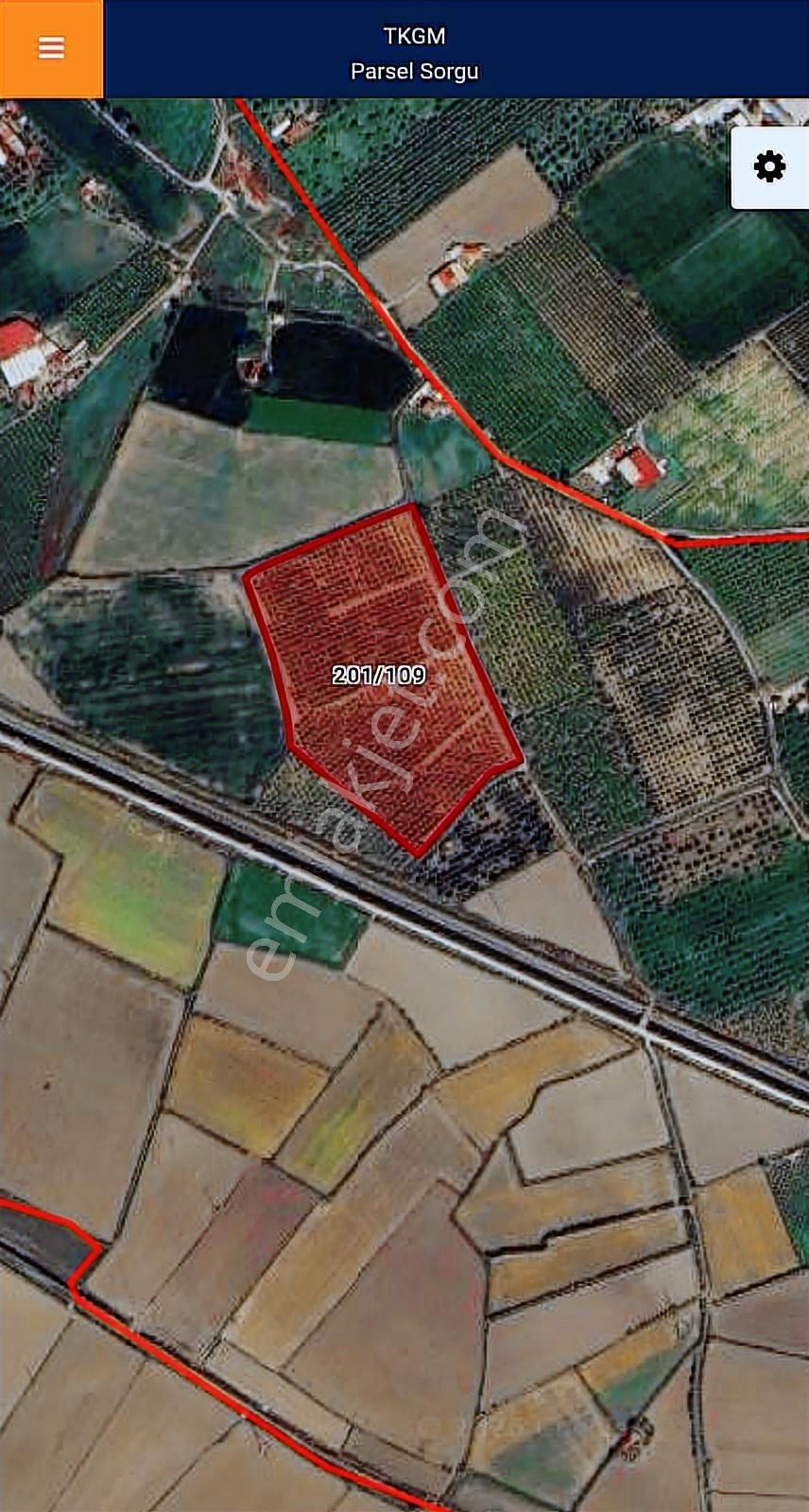 Söke Özbaşı Yoluna Yakın 45.752 M2 Satılık Mandalina Bahçesi - Görsel 9