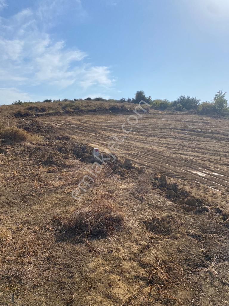 Yalova Çınacık Esenköyde Full Deniz Manzaralı Satılık 458m2 Arsa - Görsel 12