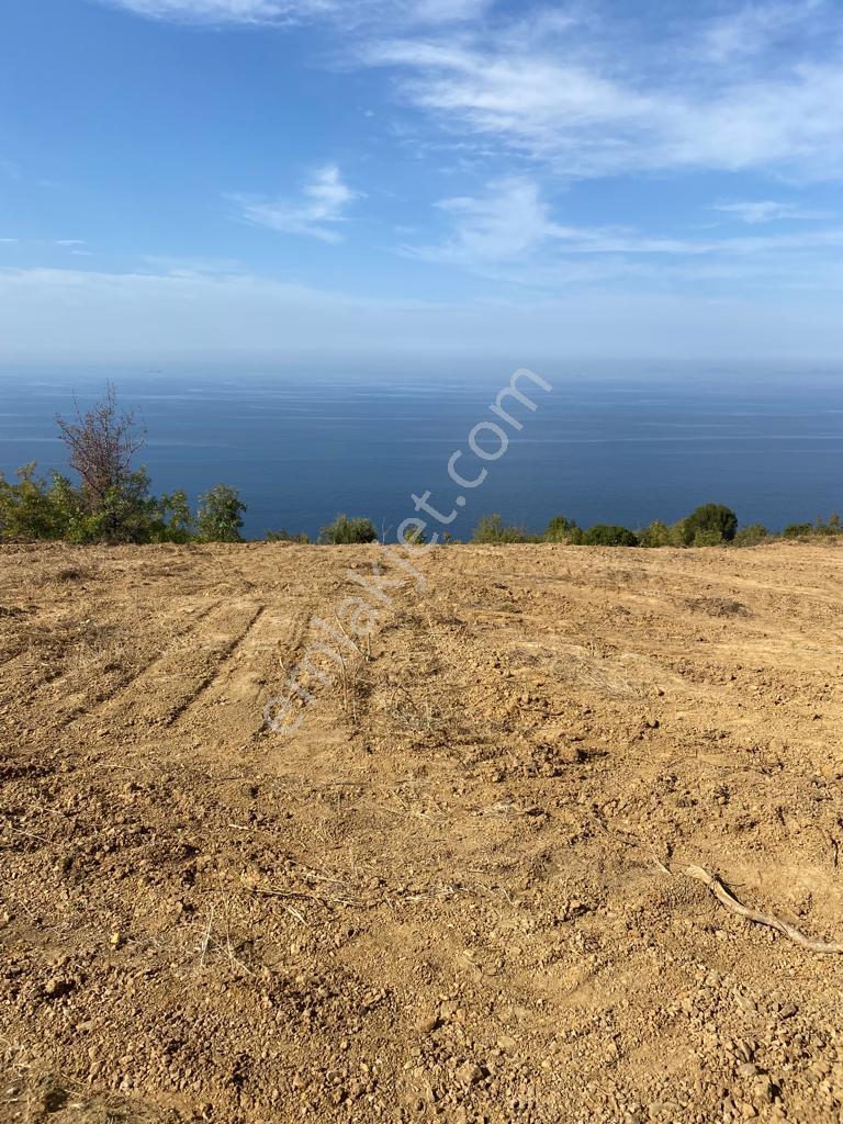 Yalova Çınacık Esenköyde Full Deniz Manzaralı Satılık 458m2 Arsa - Görsel 3