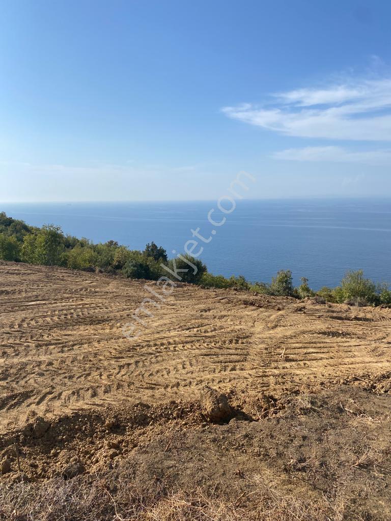 Yalova Çınacık Esenköyde Full Deniz Manzaralı Satılık 458m2 Arsa - Görsel 16