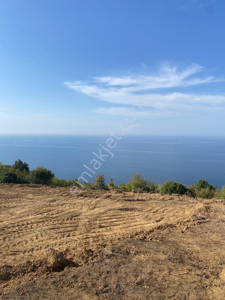 Yalova Çınacık Esenköyde Full Deniz Manzaralı Satılık 458m2 Arsa - Görsel 17