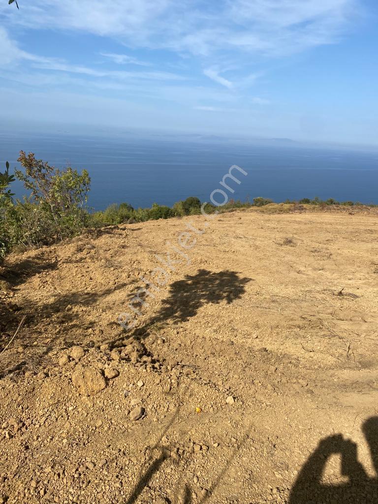 Yalova Çınacık Esenköyde Full Deniz Manzaralı Satılık 458m2 Arsa - Görsel 15