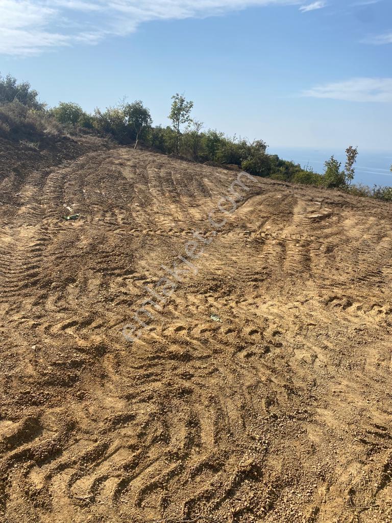 Yalova Çınacık Esenköyde Full Deniz Manzaralı Satılık 458m2 Arsa - Görsel 6